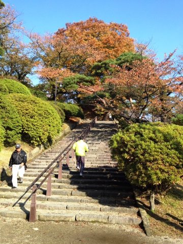 公園内は、結構アップダウンがあり、ランナーも数名走っていました。 階段もいい練習になります。