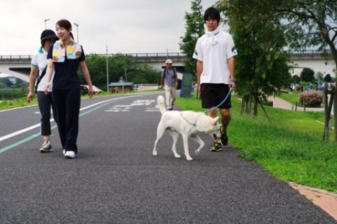 家族揃ってケンタの散歩に出かけたのだが・・・
この後雨が降るなんてあたまの片隅にもなかった。