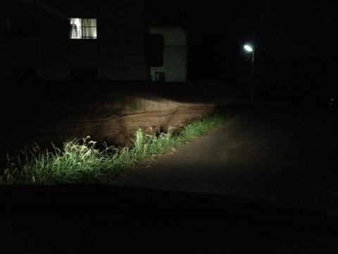 ハロゲンランプで照らした状態