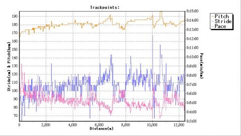 足裏の痛みの原因調査