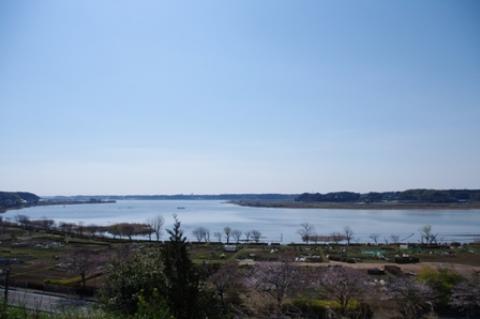 桃山公園から手賀沼東コースを望む
