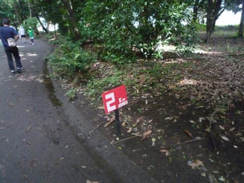 20回目を迎える2km看板