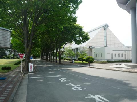 正門から続く並木道
三角の屋根の建物は体育館らしい
