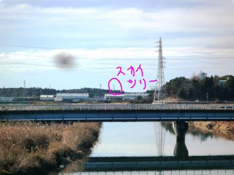 遠くにぼんやりとスカイツリーが見えます