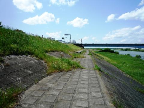 仕方なく利根川の土手沿いの道に出るも、ココも歩道がなくこのような石畳を走りました。
石のピッチとストライドが合わず、苦労した。