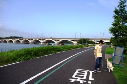 今日は息子とケンタを連れだって、手賀沼遊歩道へ行った。